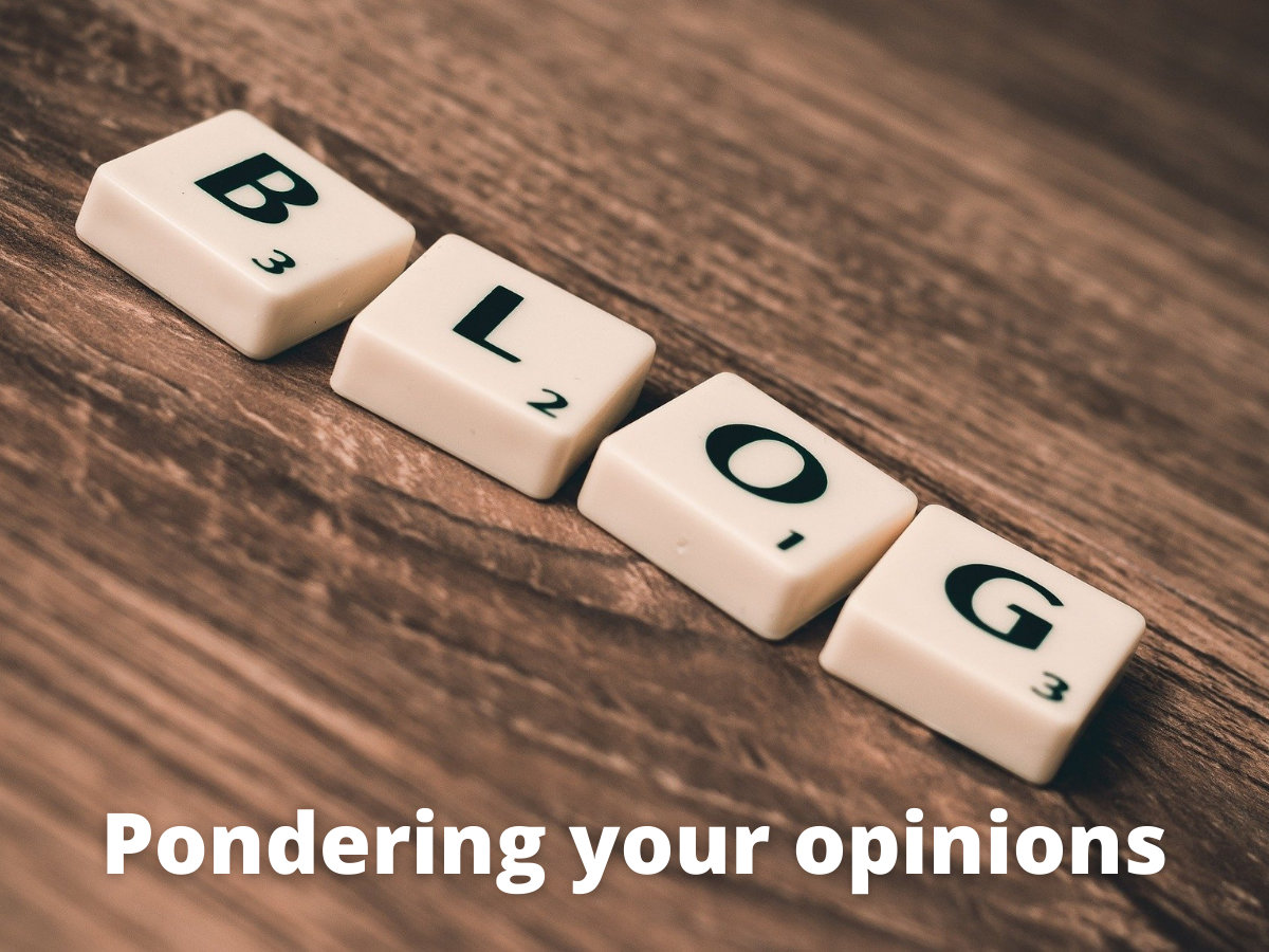 Read more about the article Pondering your opinions…