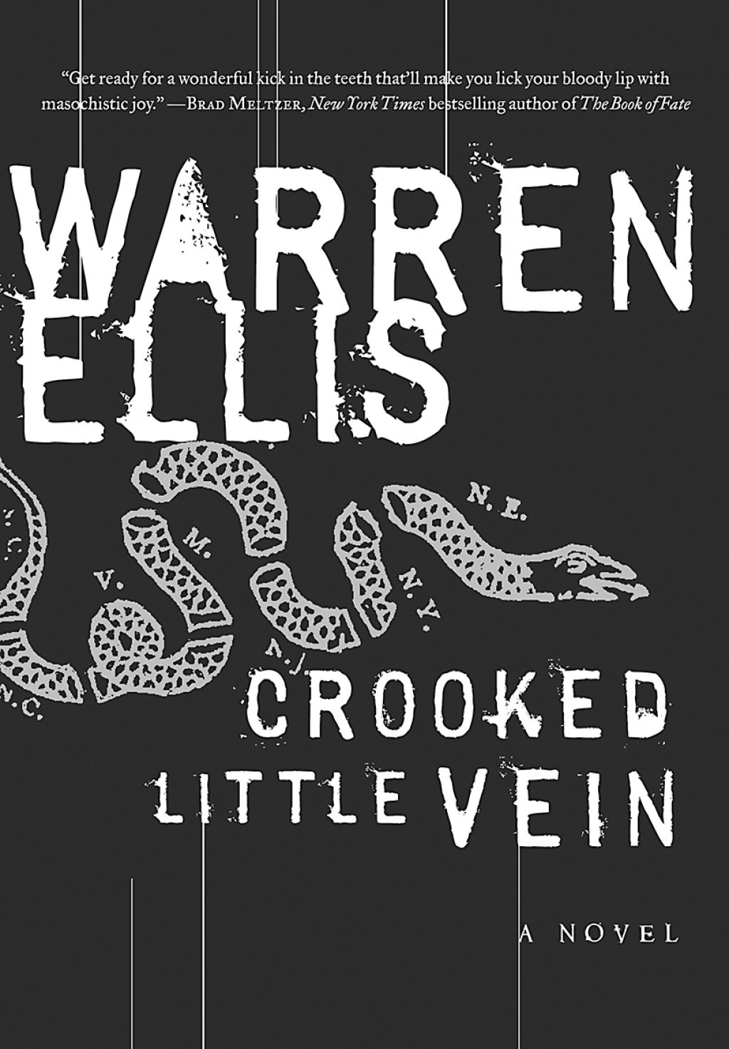 Read more about the article Book: Crooked Little Vein